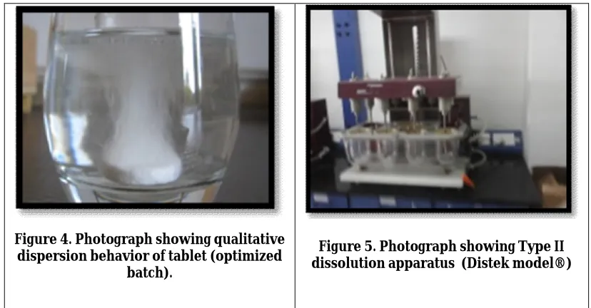 Figure 4. Photograph showing qualitative dispersion behavior of tablet (optimized 