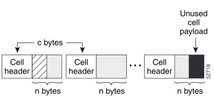 Figure 2 Layer 3 Packet with Layer 2 Header