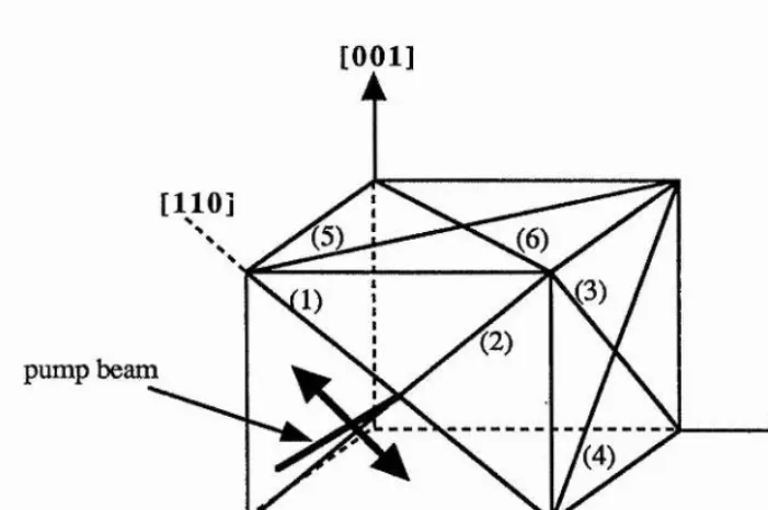 Figure 2.6 Diagram showing the six possible axis along which the pump laser polarization may be orientated for the colour centre.