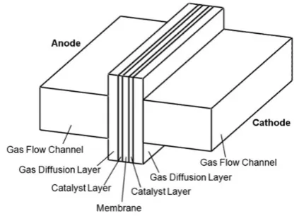 Figure 4. A single straight channel with corresponding GDLand MEA.GDL: gas diffusion layer; MEA: membrane electrode assembly.