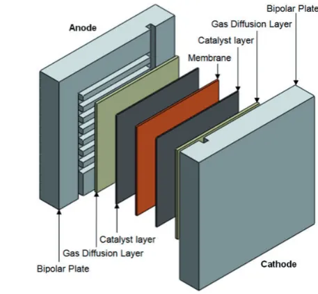 Figure 2. Schematic of a single-cell PEM fuel cell with straightchannels.PEM: proton exchange membrane.