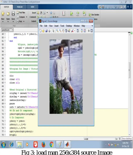 Fig 3: load man 256x384 source Image 