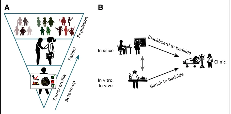 FIG 1. (A) Personalized cancer practice on various levels, namely population, patient, and tumor promathematician works on both blackboards and computer keyboards; thus, we analogously, present the phraseblackboard to bedside to describe the action of tran