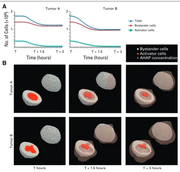 FIG 6. The effect of hypoxia-activatedprodrugs, in which cell death is visu-alized as instantaneous for clarity