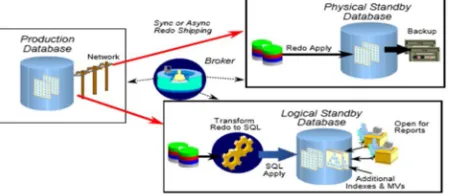 Fig 3. Architectural components of oracle data guard 