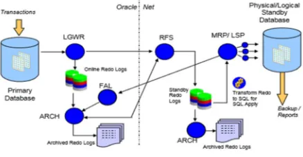 Fig 3. Oracle Data Guard Process Architecture 