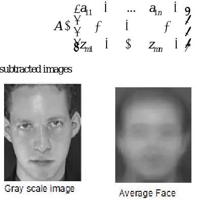 Fig. 4.  Figure showimg Gray scale image and mean subtracted average face Next the covariance matrix is calculated of Matrix A as the Eigenvalue calculation requires a symmetric matrix by using the 
