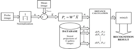 Fig. 5. Figure showing Pictorial representation of Face recognition Tranining phase 