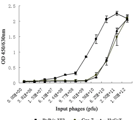 Figure 1: Specific binding of the positive phage clones to bFGF receptors. The binding affinities of 5 positive phage clones to Balb/c 3T3 cells and Cos-7 cells were detected by ELISA assay