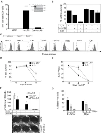Figure 1: HoxA9 overexpression is required for proliferation and survival of growth factor dependent myeloid cells