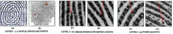 Fig 1: Examples of Latent Finger Prints  Minutiae(red rectangles), pores (green circles), dots (cyan circles) 