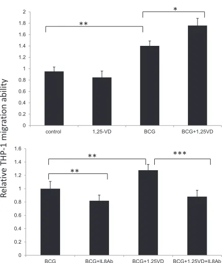 Figure 3: 1,25-VD promotes THP-1 cell migration through IL-8.  (A) 1,25-VD promotes BCG induced THP-1 cell migration by a transwell migration assay