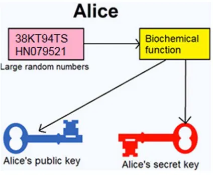 Figure 1. Public encryption. 