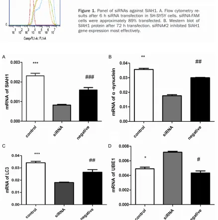 Figure 1. Panel of siRNAs against SIAH1. A. Flow cytometry re-sults after 6 h siRNA transfection in SH-SY5Y cells