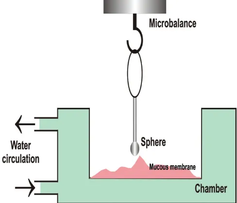 Fig. 7: Different forces evaluated in mucoadhesion tests 