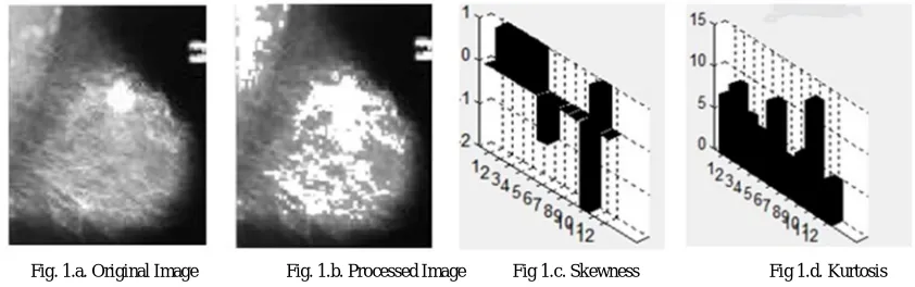 Fig. 1.a. Original Image                  Fig. 1.b. Processed Image           Fig 1.c