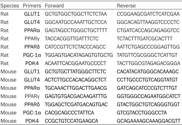 Table 1. Primer sequences of metabolism genes in rat and mouse