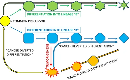Figure 1: Schematic representation and suggested terminology for different ways in which cancer may be differentiatied.