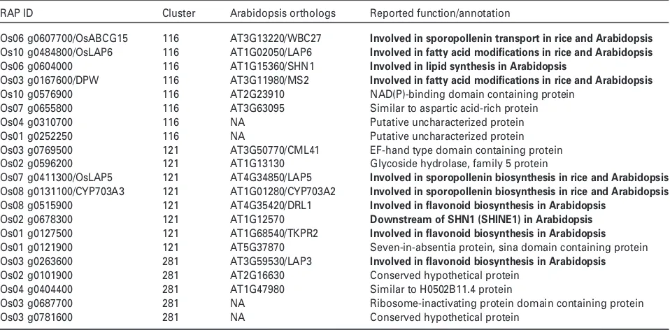 Table 1 Genes in Clade 1.1