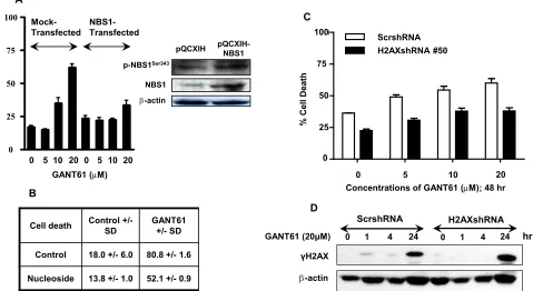 Figure 7: Effect of modulation of NBS1, nucleosides or H2AX during inhibition of HH signaling at the level of GLI