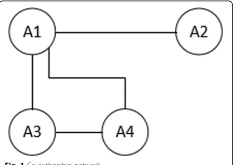 Fig. 1 Co-authorship network