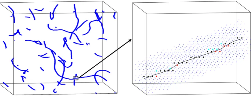 FIG. 1: In the left panel, the string segments in a typical simulation box are shown; the blue points are points with a magneticﬁeld higher than the threshold described in the text