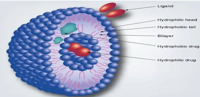 Fig. 1: Honeycombed structure separating two internal aqueous channels   
