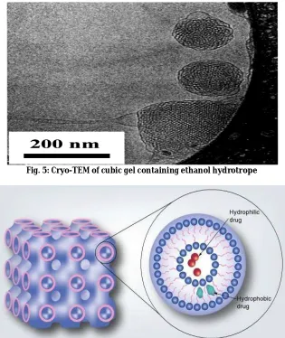 Fig. 5: Cryo-TEM of cubic gel containing ethanol hydrotrope  