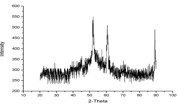 Fig. 4.5.2. TEM micrographs of product obtained from NiSO4 solution 