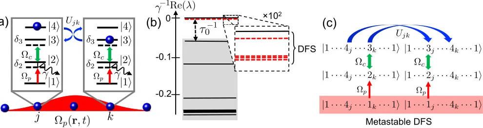 FIG. 1. Metastable DFS of anlong-time dynamics in Eq. (6), and fast modesone-dimensional lattice (lattice spacingL N-atom system: (a) Level scheme and transitions