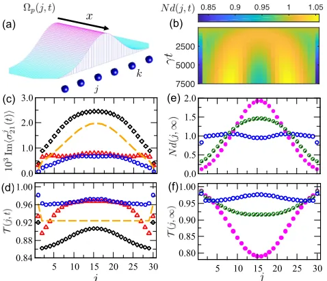 FIG. 2. Long-time dynamics and optical response: (a)