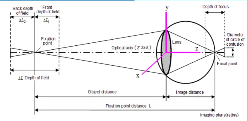 Figure 7. Schematic diagram of depth of field and depth of focus 