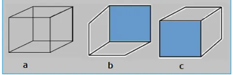 Figure 4. Inversion phenomenon and three-dimensional visual perception of a Necker cube