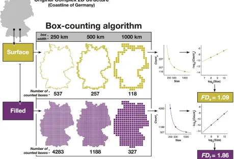 Figure 2. Illustration of how fractal dimensionality is measured from a 2D structure. Reprinted from Madan and Kensinger (2016) with permission