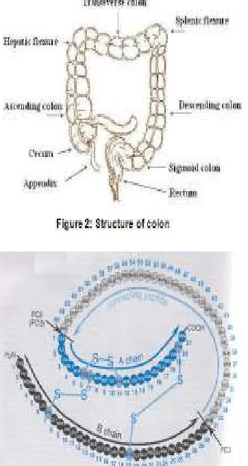 Fig. 4: Structure of Eudragit ® L 100 