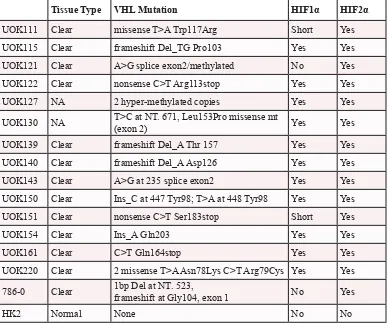 Table 1: CCRCC cell lines HIF status. Summary of the CCRCC cell lines and normal epithelial kidney cell line with their VHL mutation and their HIF status
