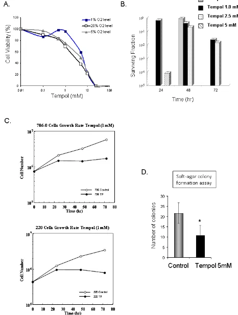 Figure 6: Anti-tumor effect of Tempol in CCRCC. A. The cytotoxic effect of Tempol in 786-0 cells was assessed by MTT after 48h treatment at 1%, 5% and 20% O2