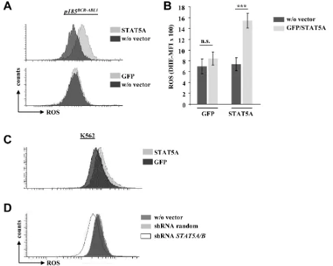 Figure 2: STAT5A mediates ROS production in murine and human BCR-ABL1 transformed cell lines