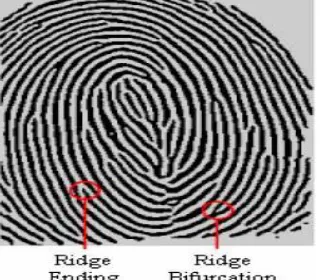 Figure 1: Classification of Biometric Features 