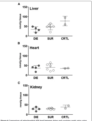 Figure 6 Comparison of mitochondrial ATP level between dying and surviving septic mice usingprospective stratification of outcome