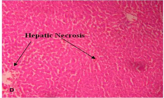 Fig. b): Carbamazepine (50 mg/Kg) 