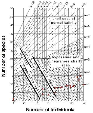 Figure 6. Graph illustrating the calculation of the diversity index α For SILE WELL [19]