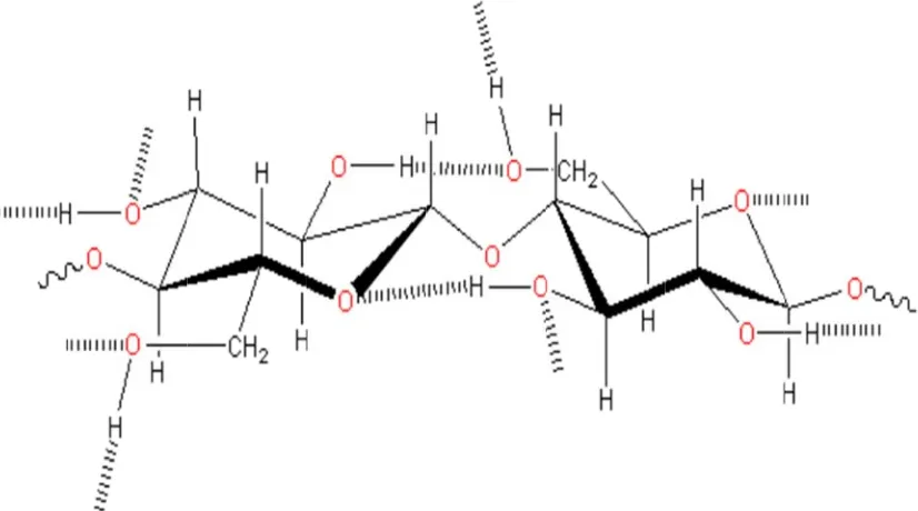 Fig 1 Chemical structuure of cellulose [221] 