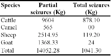 Table 8: Summary of partial seizures and total seizures 
