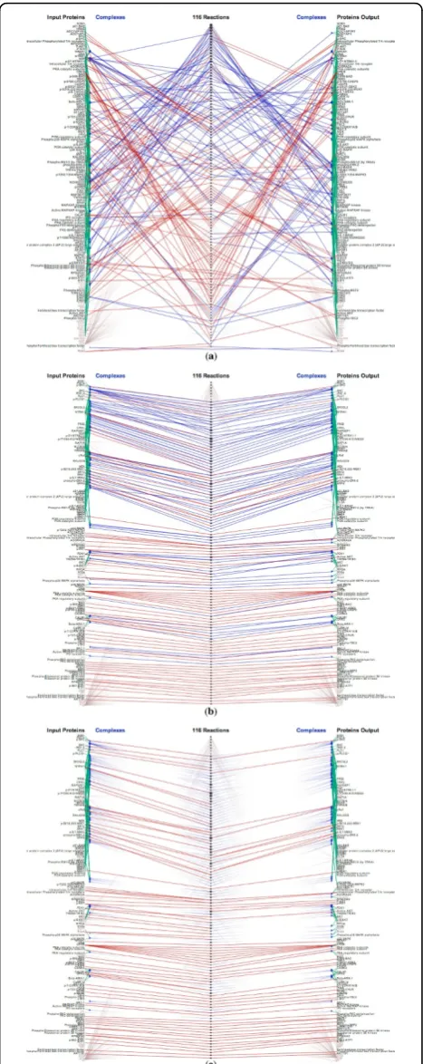 Figure 11 Visualizing the NGF signaling via TRKA pathway:(a) Random order (b) Order proteins by their reaction/complexparticipations to minimize edge crossings (c) Fading outreaction links.