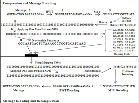 Fig. 1. Message encoding and decoding scheme in nucleotides. 