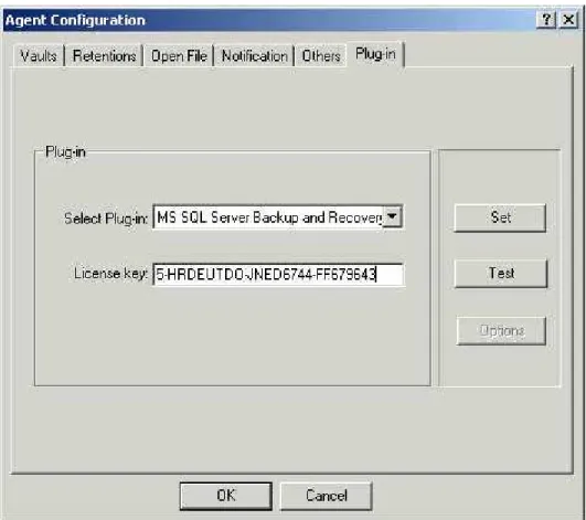 Figure 3. - License Key 