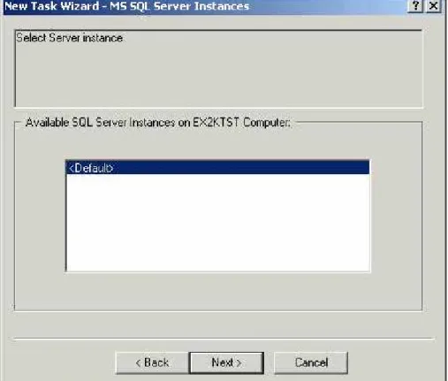 Figure 7. - MS SQL Server Instances 