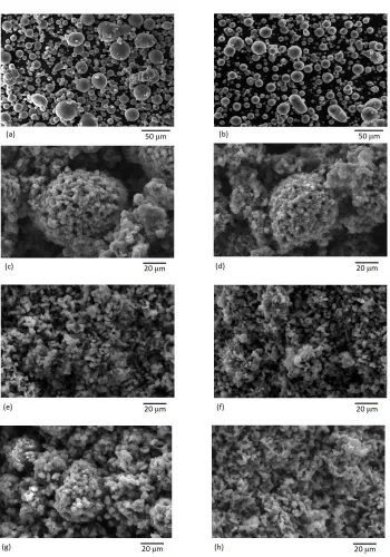 Figure 7: SEM images of the as received powders (a) Mg30 (AR) and (b) Mg26 (AR). Cross-sectional fracture surface SEM images at the midpoints of the porous samples producedfollowing 90 cycles at 350 ◦C where (c) Mg30; (d) Mg26; (e) V Mg30; (f) SS Mg30; (g)Fe Mg30 and (h) Cr Mg26.