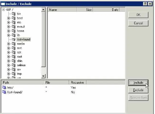 Figure 6. - Include/Exclude Directories and Files 